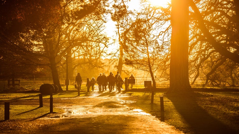 A group walking in the distance are silhouetted against autumn light